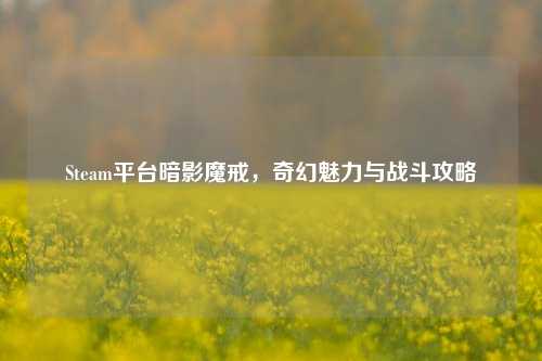 Steam平台暗影魔戒,奇幻魅力与战斗攻略