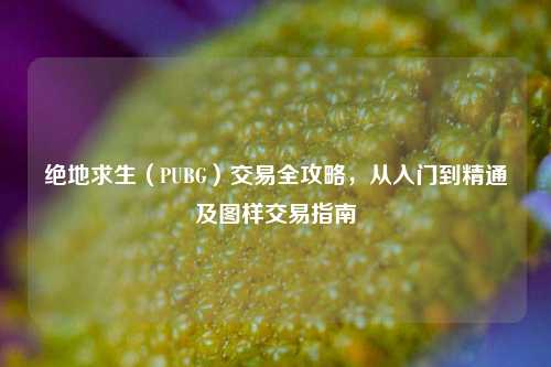 绝地求生（PUBG）交易全攻略，从入门到精通及图样交易指南