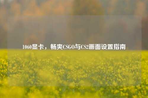 1060显卡,畅爽CSGO与CS2画面设置指南