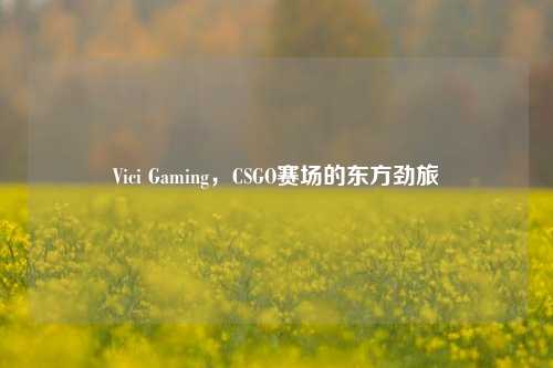 Vici Gaming,CSGO赛场的东方劲旅