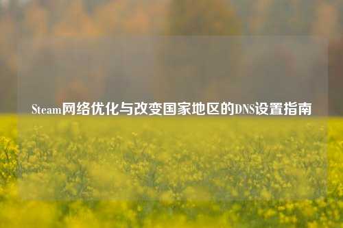 Steam网络优化与改变国家地区的DNS设置指南