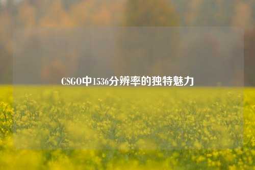 CSGO中1536分辨率的独特魅力