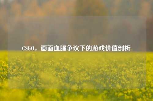 CSGO，画面血腥争议下的游戏价值剖析
