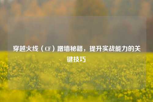 穿越火线(CF)蹭墙秘籍,提升实战能力的关键技巧