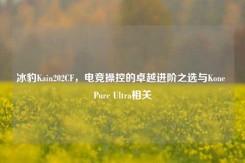 冰豹Kain202CF,电竞操控的卓越进阶之选与Kone Pure Ultra相关