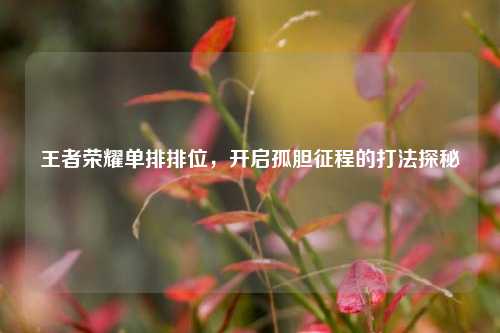 王者荣耀单排排位，开启孤胆征程的打法探秘