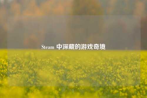 Steam 中深藏的游戏奇境