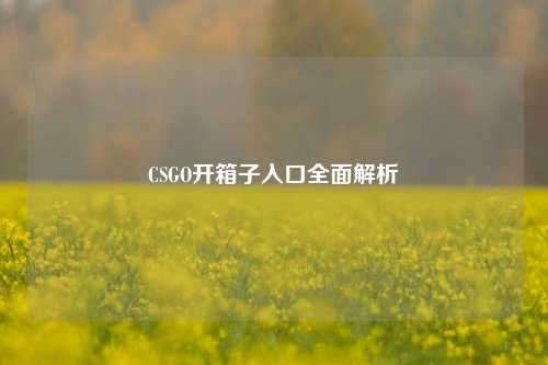 CSGO开箱子入口全面解析