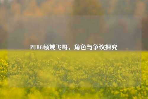 PUBG领域飞哥，角色与争议探究
