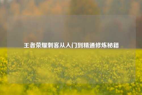 王者荣耀刺客从入门到精通修炼秘籍
