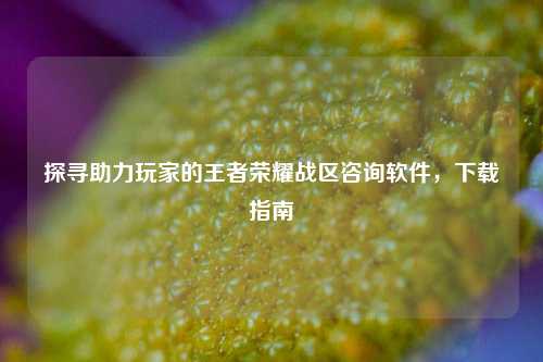 探寻助力玩家的王者荣耀战区咨询软件，下载指南