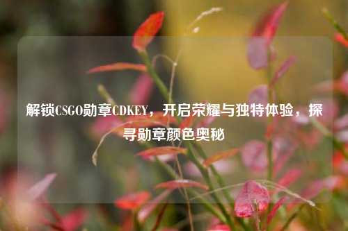 解锁CSGO勋章CDKEY，开启荣耀与独特体验，探寻勋章颜色奥秘