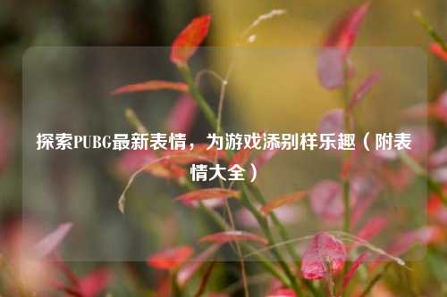 探索PUBG最新表情,为游戏添别样乐趣(附表情大全)