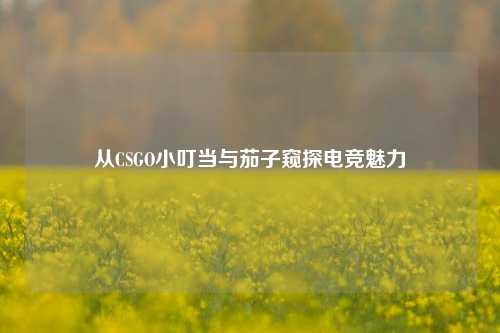 从CSGO小叮当与茄子窥探电竞魅力