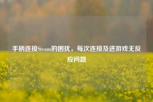 手柄连接Steam的困扰,每次连接及进游戏无反应问题
