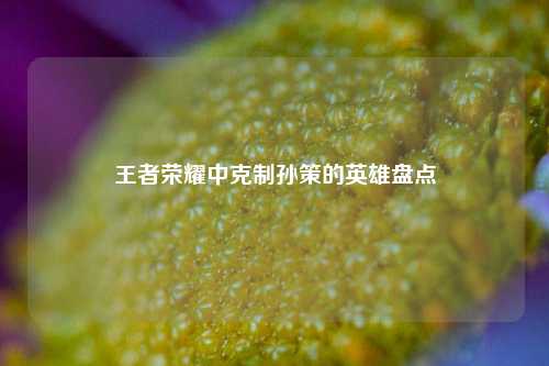 王者荣耀中克制孙策的英雄盘点