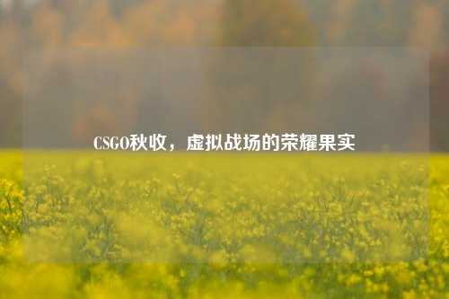 CSGO秋收,虚拟战场的荣耀果实