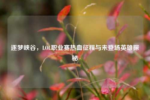 逐梦峡谷,LOL职业赛热血征程与未登场英雄探秘