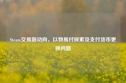 Steam交易新动向,以物易付探索及支付货币更换问题
