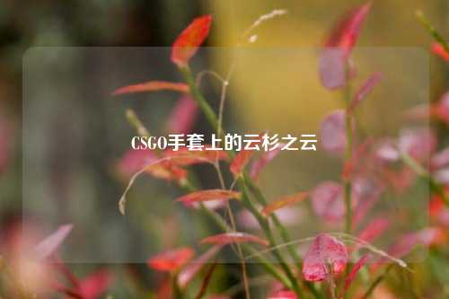 CSGO手套上的云杉之云