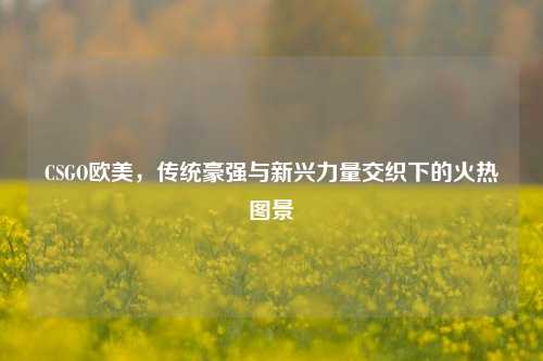 CSGO欧美，传统豪强与新兴力量交织下的火热图景