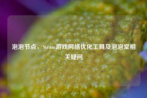 泡泡节点，Steam游戏网络优化工具及泡泡堂相关疑问