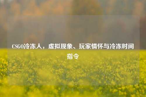 CSGO冷冻人,虚拟现象、玩家情怀与冷冻时间指令
