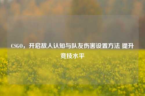 CSGO,开启敌人认知与队友伤害设置方法 提升竞技水平