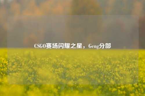 CSGO赛场闪耀之星，Geng分部