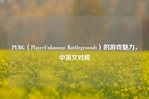 PUBG(PlayerUnknowns Battlegrounds)的游戏魅力,中英文对照