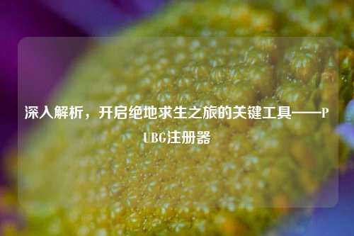 深入解析，开启绝地求生之旅的关键工具——PUBG注册器