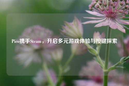 Pico携手Steam,开启多元游戏体验与按键探索