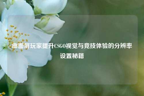 曲面屏玩家提升CSGO视觉与竞技体验的分辨率设置秘籍