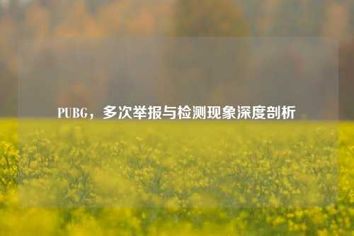 PUBG,多次举报与检测现象深度剖析
