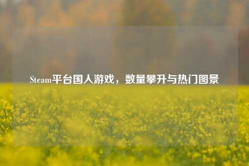 Steam平台国人游戏,数量攀升与热门图景