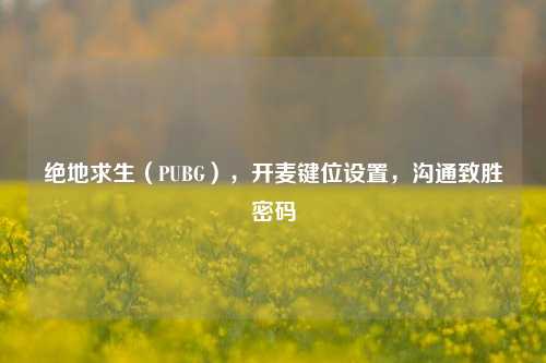 绝地求生(PUBG),开麦键位设置,沟通致胜密码