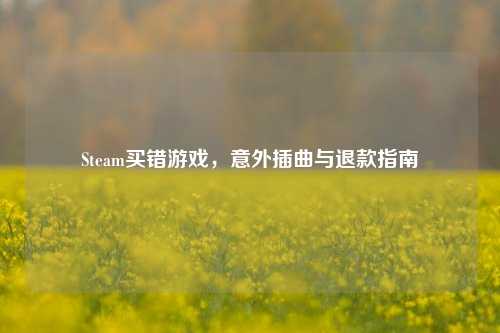Steam买错游戏，意外插曲与退款指南