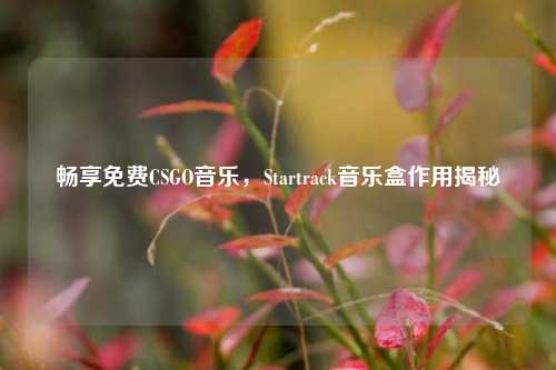 畅享免费CSGO音乐,Startrack音乐盒作用揭秘