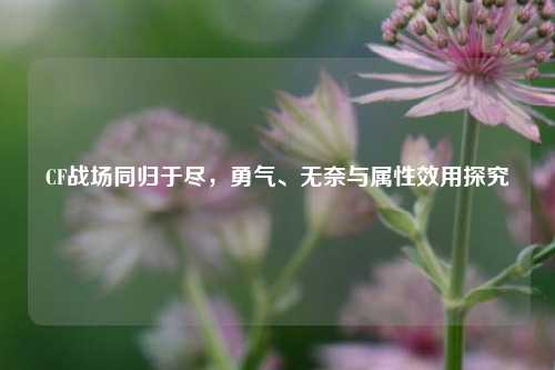 CF战场同归于尽,勇气、无奈与属性效用探究