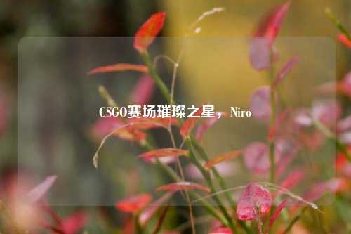 CSGO赛场璀璨之星,Niro