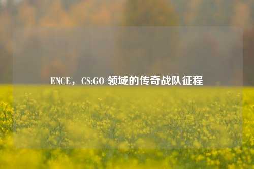 ENCE,CS:GO 领域的传奇战队征程