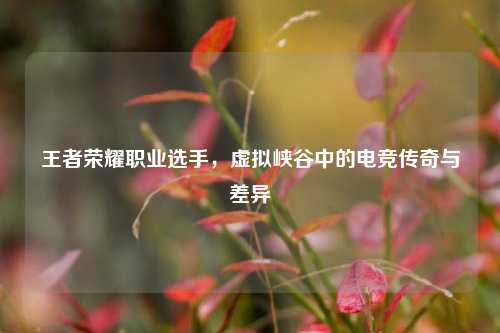 王者荣耀职业选手,虚拟峡谷中的电竞传奇与差异
