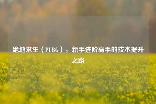 绝地求生(PUBG),新手进阶高手的技术提升之路