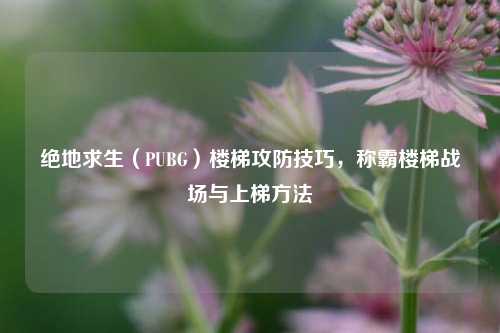 绝地求生（PUBG）楼梯攻防技巧，称霸楼梯战场与上梯方法