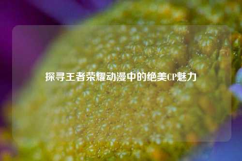探寻王者荣耀动漫中的绝美CP魅力