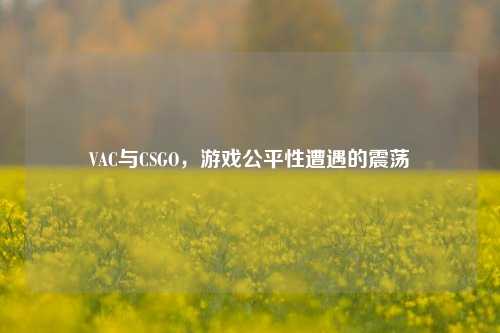 VAC与CSGO,游戏公平性遭遇的震荡