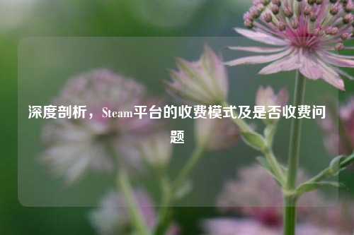 深度剖析，Steam平台的收费模式及是否收费问题