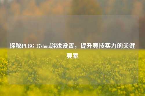 探秘PUBG 17shou游戏设置，提升竞技实力的关键要素