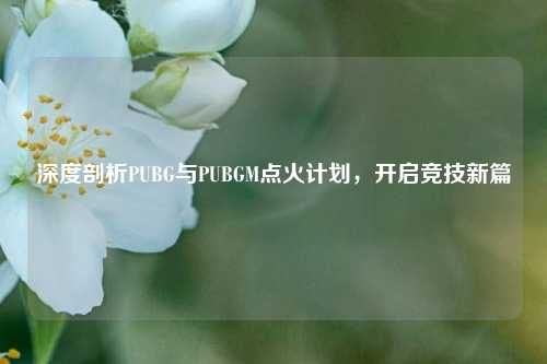 深度剖析PUBG与PUBGM点火计划，开启竞技新篇
