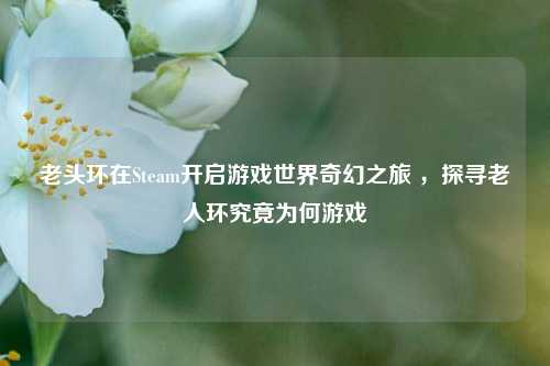 老头环在Steam开启游戏世界奇幻之旅 ，探寻老人环究竟为何游戏